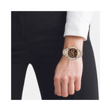 Hugo Boss Novia Chronograph Brown Dial Two Tone Steel Strap Watch for Women - 1502617